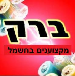 ברק מקצוענים בחשמל לוגו