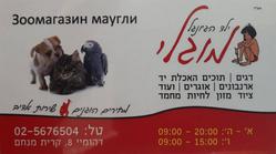 מוגלי לוגו