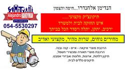 תמונות הנדימן אלחנדרו