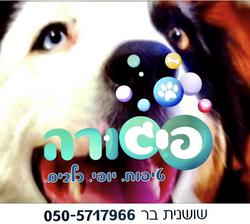 פיגורה טיפוח יופי כלבים לוגו