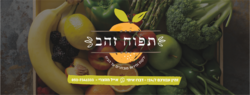 תמונות תפוח זהב