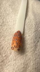 תמונות Linoy g.g nails