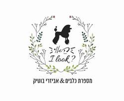 How i look לוגו