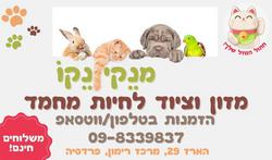 תמונה של מנקי נקו