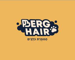 Berg Hair לוגו