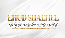 אהוד שאלתיאל לוגו