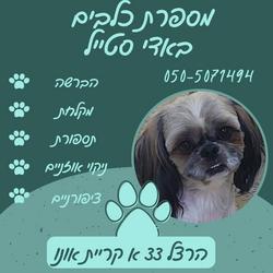 באדי סטייל לוגו