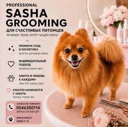 sasha grooming לוגו