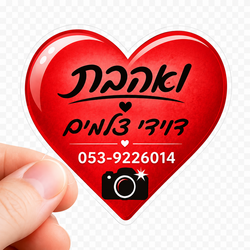 ואהבת דוידי צלמים לוגו
