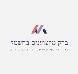 ברק מקצוענים בחשמל לוגו