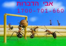 תמונות אבי הדברות