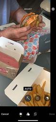 תמונות איוו מיטבורגר