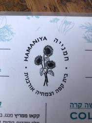 תמונות קפה חמנייה
