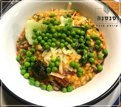 תמונות סנסנה קיוסק אוכל