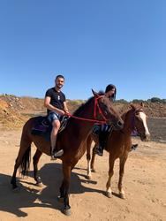 תמונות פיצה שמש