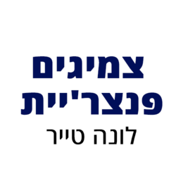 צמיגי לונה טייר לוגו