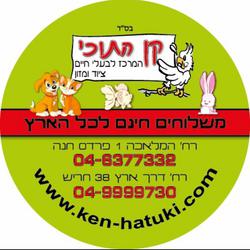 nearest pet store open