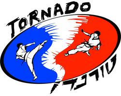 Tornado martial arts Logo