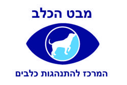 תמונה של מבט הכלב