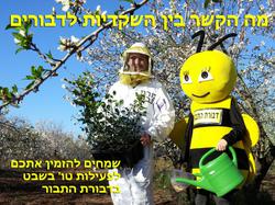תמונות דבורת התבור
