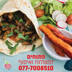תמונות נוקטורנו